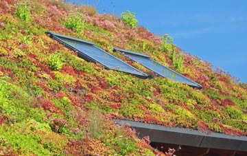 St Katherines living roof systems